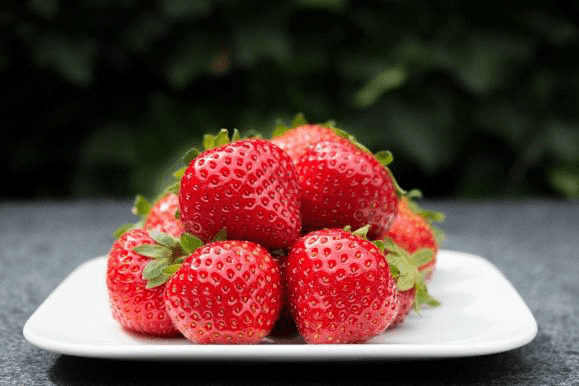 Картинки по запросу bravura strawberry plants